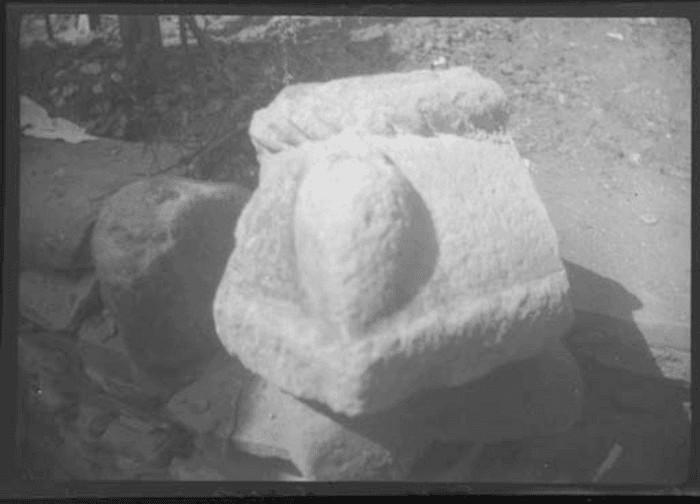 Acqui terme, chiesa cattedrale, frammento lapideo