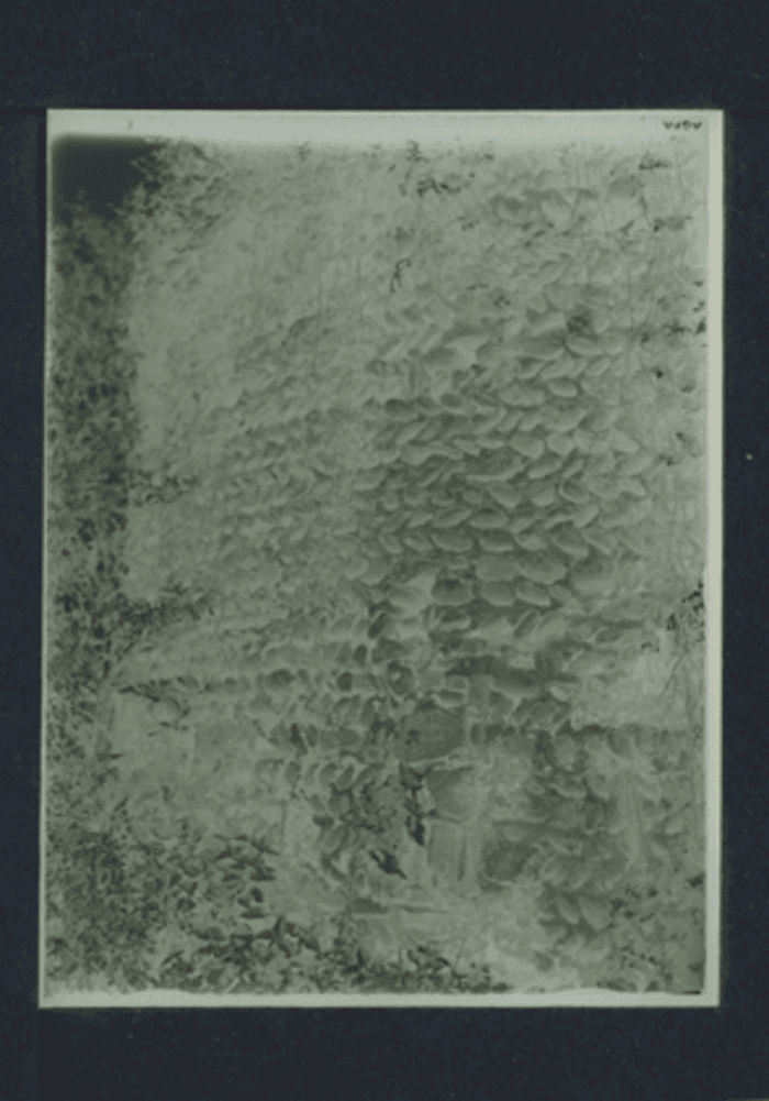 Gattinara, San Giorgio di Rado