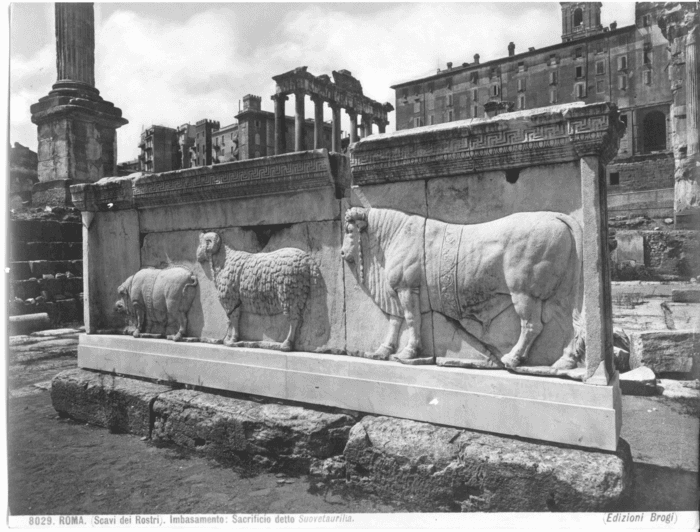 Roma (scavi dei Rostri) - Imbasamento: sacrificio detto Suovetaurilia