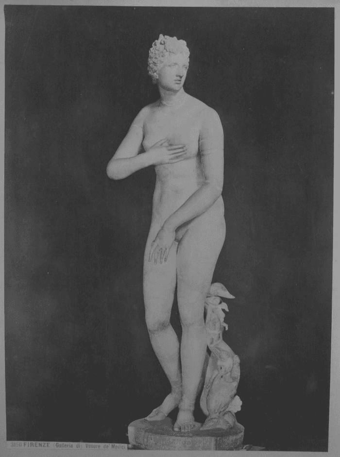 FIRENZE. (Galleria di) Venere de' Medici