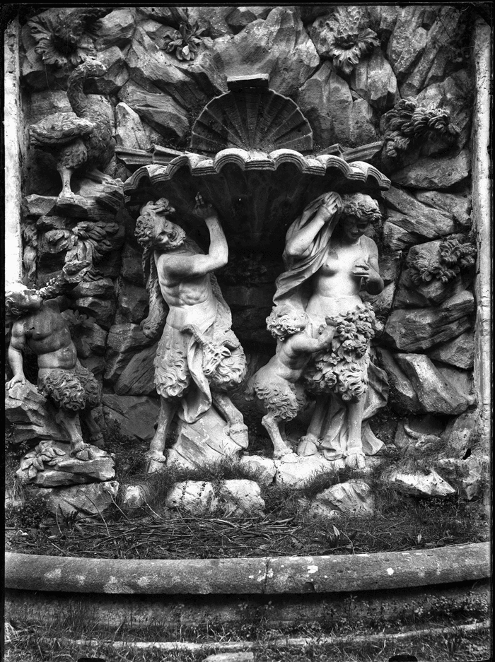 Soggetti diversi: negativi su lastra