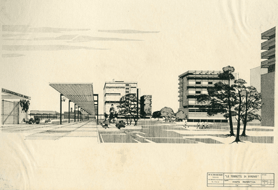 Barba Navaretti Guido