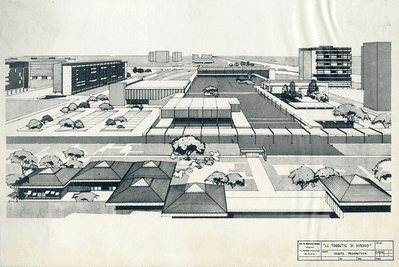 Barba Navaretti Guido