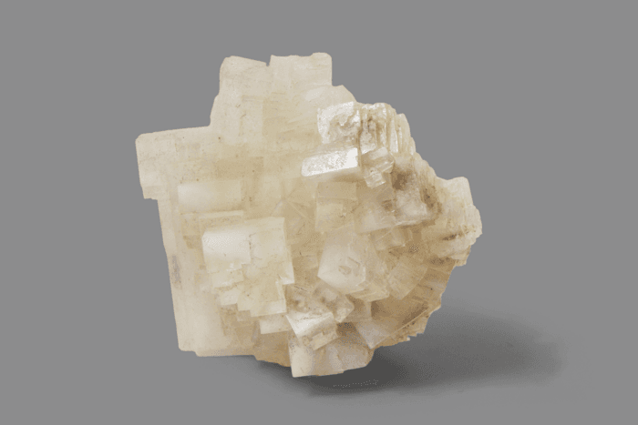 HALITE