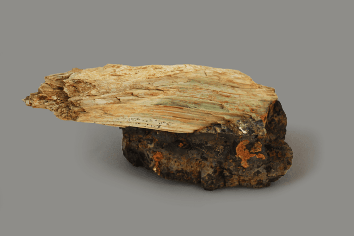 Fillosilicati