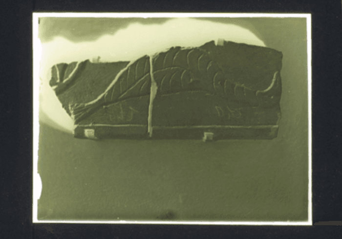 Ortonovo, Chiesa di San Marco