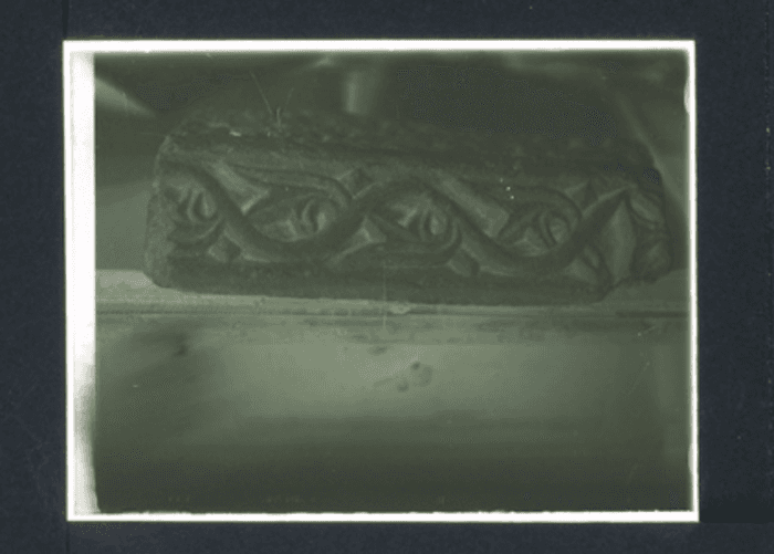 Pomposa, Particolare