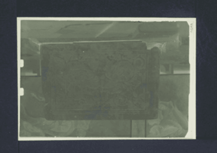 Soggetto non identificato, particolare