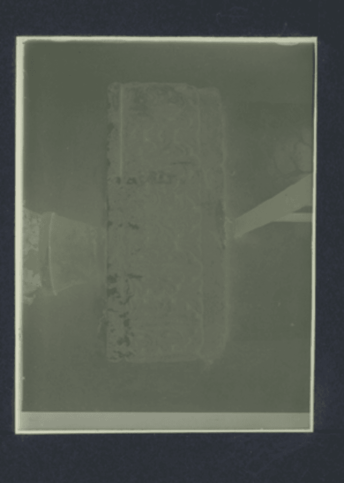 Aulla (Massa Carrara), Particolare decorativo