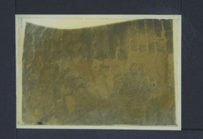 Ravenna, Battistero degli Ariani, particolare