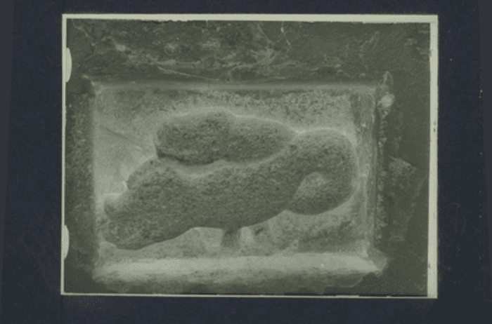 Viterbo, parrocchia dell'Assunta, fregio