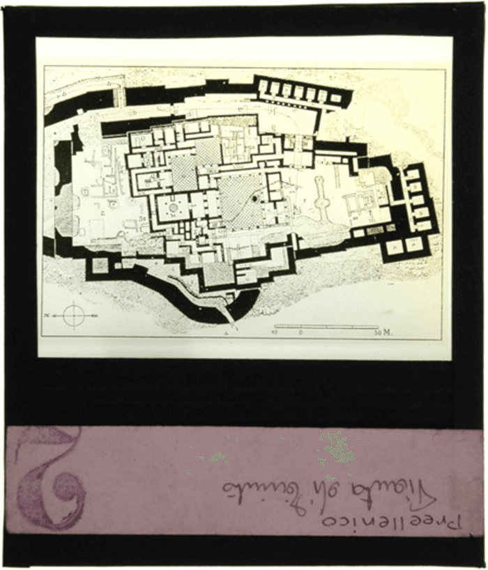 Grecia, Tirinto, pianta