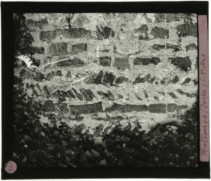 Bollengo (TO), San Pietro, particolare muratura