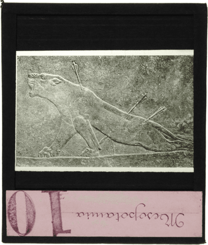 Non identificato, bassorilievo lapideo, figura zoomorfa, arte mesopotamica