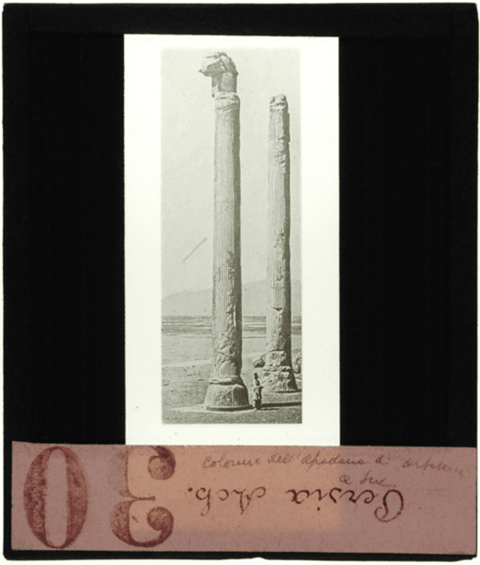 Susa (Iran), Apadana di Artaserse, colonne