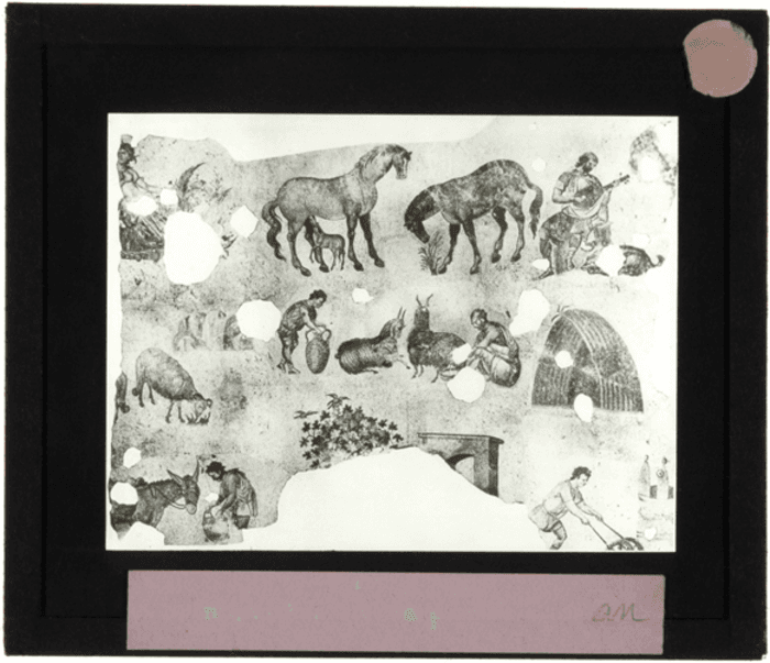 Non identificato, affresco, lavori agro-pastorali