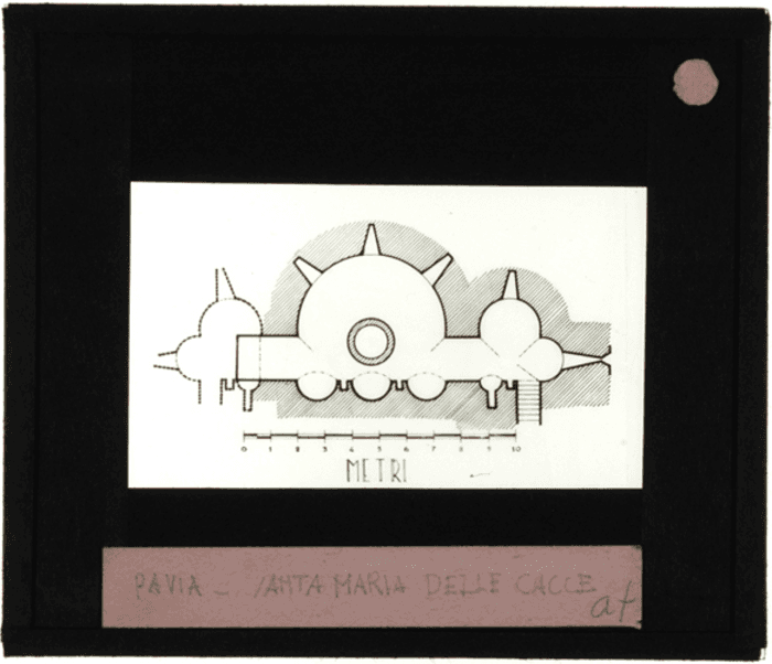 Pavia, Santa Maria delle Cacce, piante