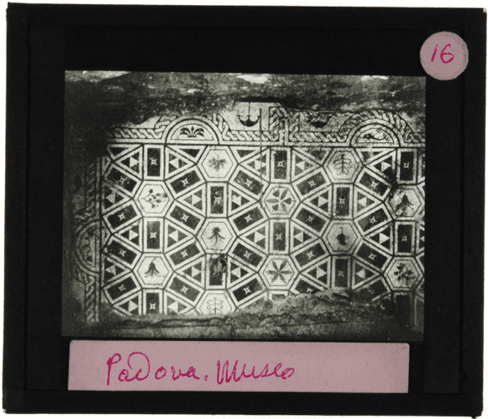 Padova, Museo, particolare musivo