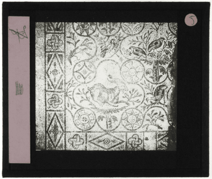 Non identificato, decorazione pavimento