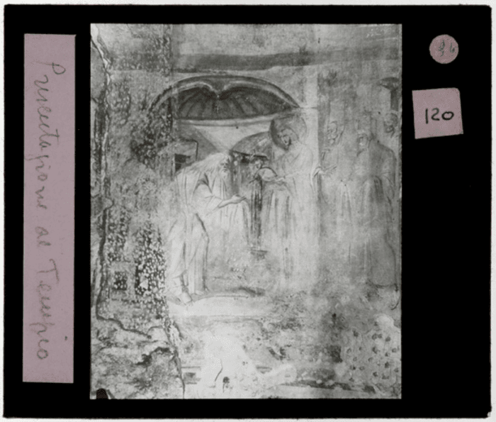 Non identificato, nicchia, particolare decorazione