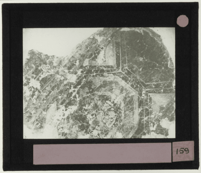 Non identificato, particolare decorazione pavimento